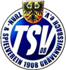 Wappen TSV Grävenwiesbach 1908 diverse  73222