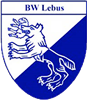 Wappen SV Blau-Weiß Lebus 1990 diverse  35354