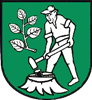 Wappen Eichsfelder SV 74 Bernterode