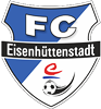 Wappen FC Eisenhüttenstadt 2016 diverse  28883