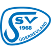Wappen Süderneulander SV 1968  7077