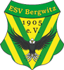 Wappen Erster SV 1905 Bergwitz 1905  42908