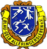 Wappen ehemals SG Blau-Gelb Alleringersleben 1921  70287