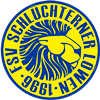 Wappen FSV Schlüchterner Löwen 1996  105791