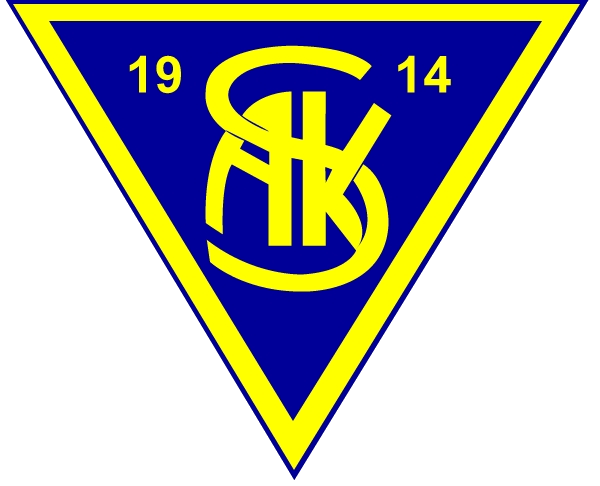 Wappen Salzburger AK 1914 diverse  50347