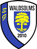 Wappen SG 2010 Waldsolms  14653