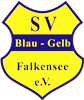 Wappen SV Blau-Gelb Falkensee 1981  24603