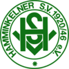 Wappen ehemals Hamminkelner SV 20/46  94956