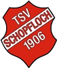 Wappen TSV Schopfloch 1906 diverse  100331
