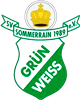 Wappen SV Grün-Weiß Sommerrain 1989 diverse  112538
