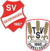 Wappen SG Segringen/TSV Dinkelsbühl III (Ground A)  121646