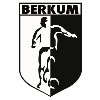 Wappen VV Berkum diverse  120059