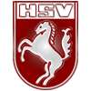 Wappen ehemals Hammer SpVgg. 03/04