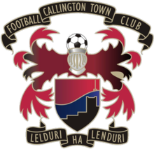 Wappen Callington Town FC diverse