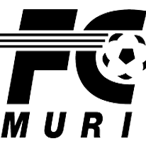 Wappen FC Muri IV  120398