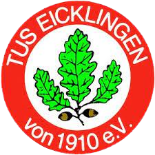 Wappen TuS Eicklingen 1910 diverse  91415