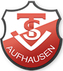 Wappen TSV Aufhausen 1930 diverse  107269