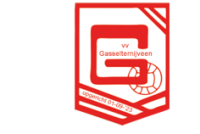 Wappen VV Gasselternijveen diverse  77934