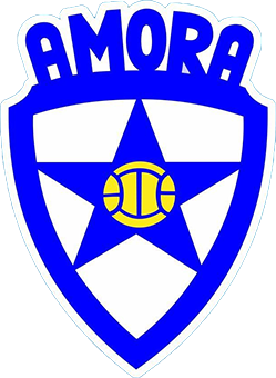 Wappen Amora FC Feminino  104648