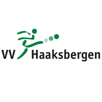 Wappen VV Haaksbergen diverse