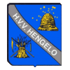 Wappen HVV Hengelo diverse  48555