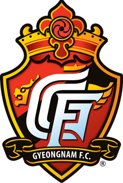 Wappen ehemals Gyeongnam FC  117234