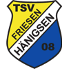 Wappen TSV Friesen Hänigsen 1908 diverse  90149