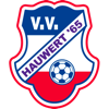 Wappen VV Hauwert '65 diverse  102285