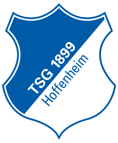 Wappen TSG 1899 Hoffenheim diverse  105341