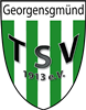 Wappen TSV Georgensgmünd 1913 diverse  106214