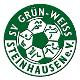 Wappen SV Grün-Weiß Steinhausen 1921 diverse  118965