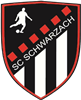Wappen SC Schwarzach 2009 diverse  90298