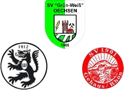 Wappen SG Oechsen/Gehaus/Wölferbütt II (Ground B)  96164