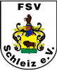 Wappen FSV 1913 Schleiz diverse  107190