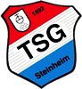 Wappen TSG Steinheim 1892 diverse  104458