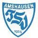 Wappen TSV Amshausen 1924 diverse  88110