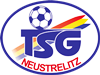 Wappen TSG Neustrelitz 1990