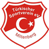Wappen Türkischer FV Miltenberg 1984 diverse  100758