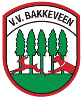 Wappen VV Bakkeveen diverse  77947