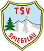 Wappen TSV 1924 Spiegelau diverse  100901