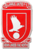 Wappen Llanrug United