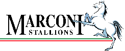 Wappen Marconi Stallions FC  9627