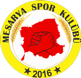 Wappen Mesarya SK