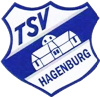 Wappen TSV 1910 Hagenburg diverse  124114