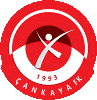 Wappen ehemals Çankaya FK  60824