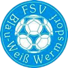 Wappen FSV Blau-Weiß Wermsdorf 1990 diverse  107026