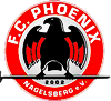 Wappen FC Phoenix Nagelsberg 2002  63841