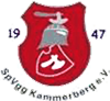 Wappen SpVgg. Kammerberg 1947 diverse  78198