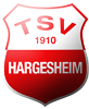 Wappen TSV 1910 Hargesheim diverse  115158