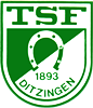 Wappen TSF Ditzingen 1893  6126